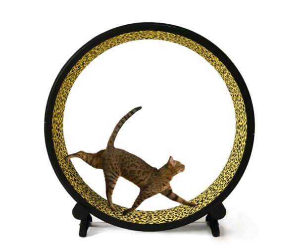 Roue d'exercice One Fast Cat 48′′ Roue de course pour tapis roulant pour chat – Image 3