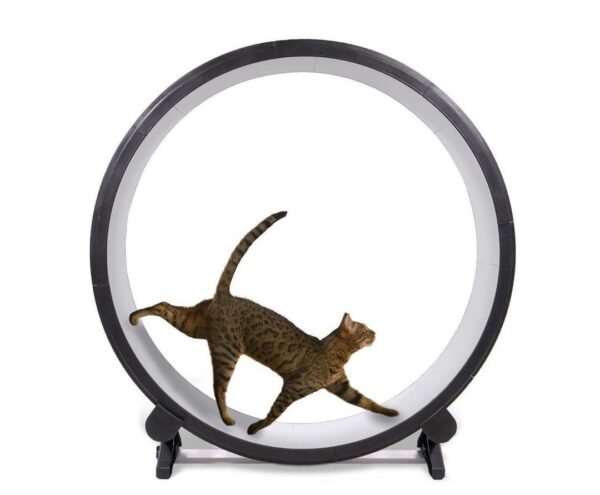 Roue d'exercice One Fast Cat 48′′ Roue de course pour tapis roulant pour chat – Image 2